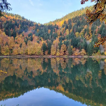 La Marcairie La Bresse