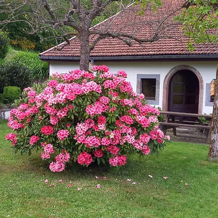 Hébergement de vacances La Marcairie *