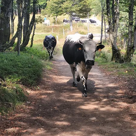 La Marcairie Hébergement de vacances *