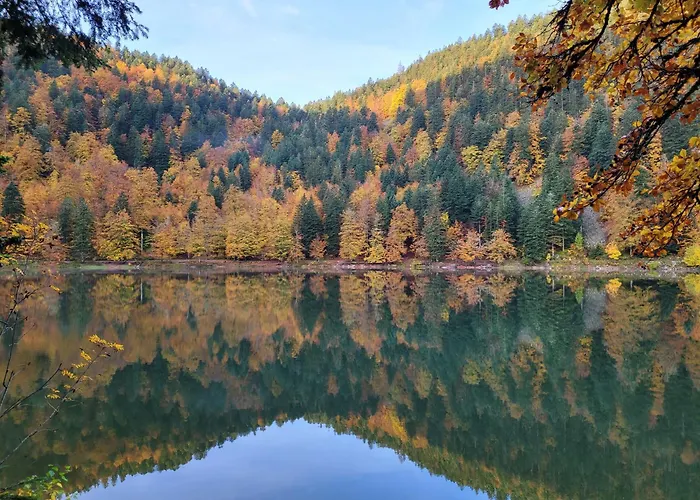 La Marcairie La Bresse