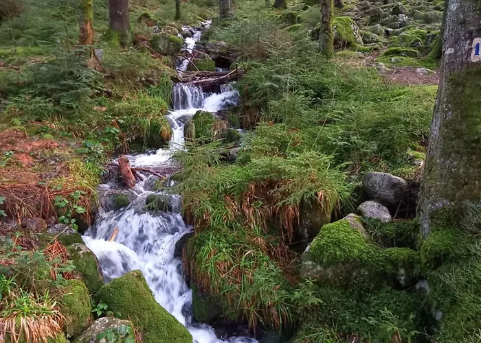 La Marcairie Prázdninový dům *