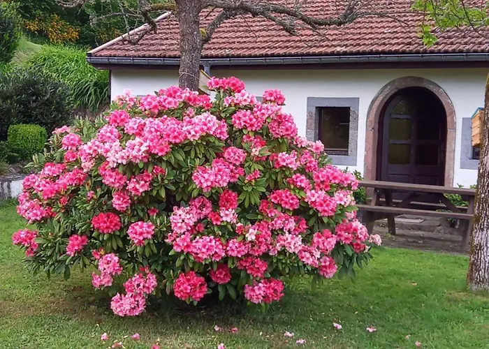 Prázdninový dům La Marcairie *