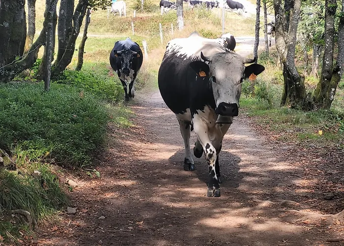 La Marcairie Prázdninový dům *