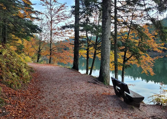 La Marcairie Prázdninový dům *